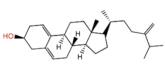 Nephtheasteroid A